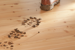 Feel Wood Sib MD 19x135 mm industrie